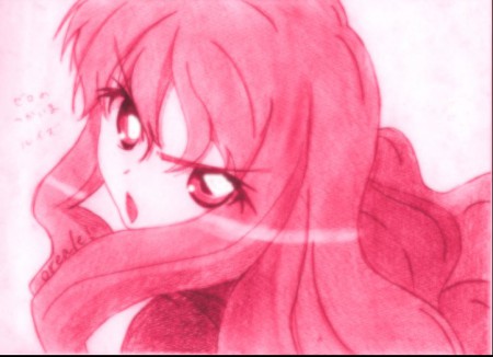 ゼロの使い魔　ルイズ